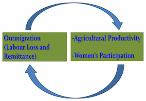 Outmigration, Agricultural Productivity, Women's Participation