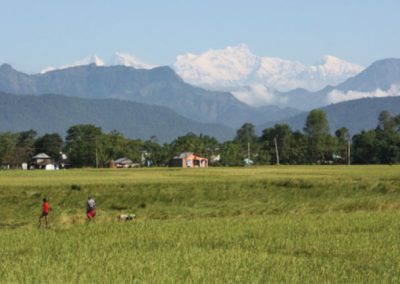 Landscape: Chitwan valley of Nepal (2011)